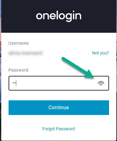 OneLogin Service System